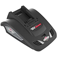 Los mejores  - Briggs and Stratton Li-Ion Cargador de Batería para Murray 18V- 1697083